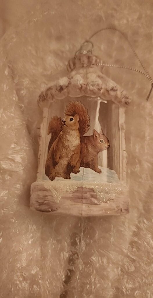 Holly's Surgery Journey Day 8 2 Squirrel