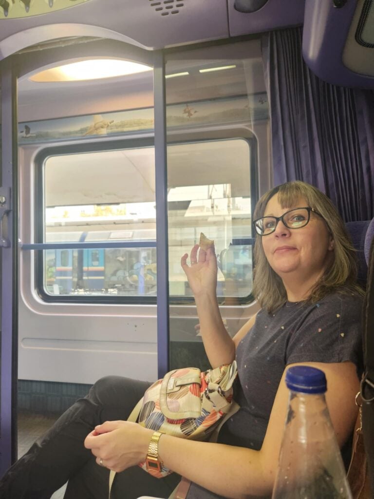 Holly's Surgery Journey Day 9 & 10 3 Tracy Hollys compainion